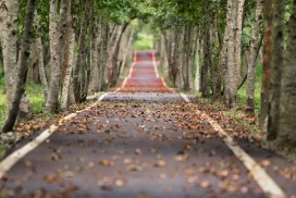 The Road Ahead Is An Exiting One